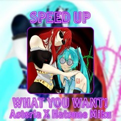 What You Want! - SPEED UP — Asteria X Hatsune Miku