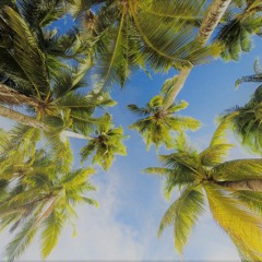 Summer Time Riddim