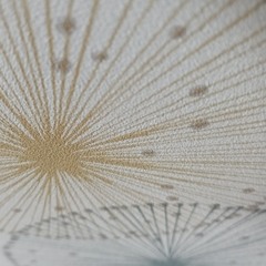 Parlasso 3