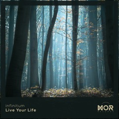 infinitum - Live Your Life