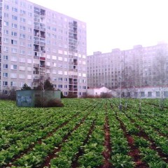 Finská Krysa x Verse Rich x iBuyPeter - BeatRoota (prod. Nekobasu 7-11)