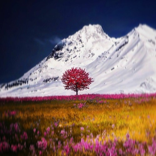 Enko - Anthesis [MTPL05]