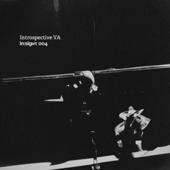 PREMIERE: Denev - Inward Contemplation Unveils The Canvas Of Our Desires And Fears [IN​:​SIGHT 004]