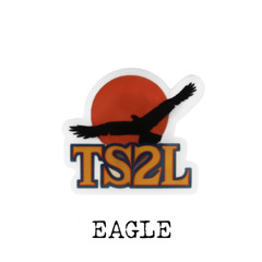 Eagle (in the style of ABBA)