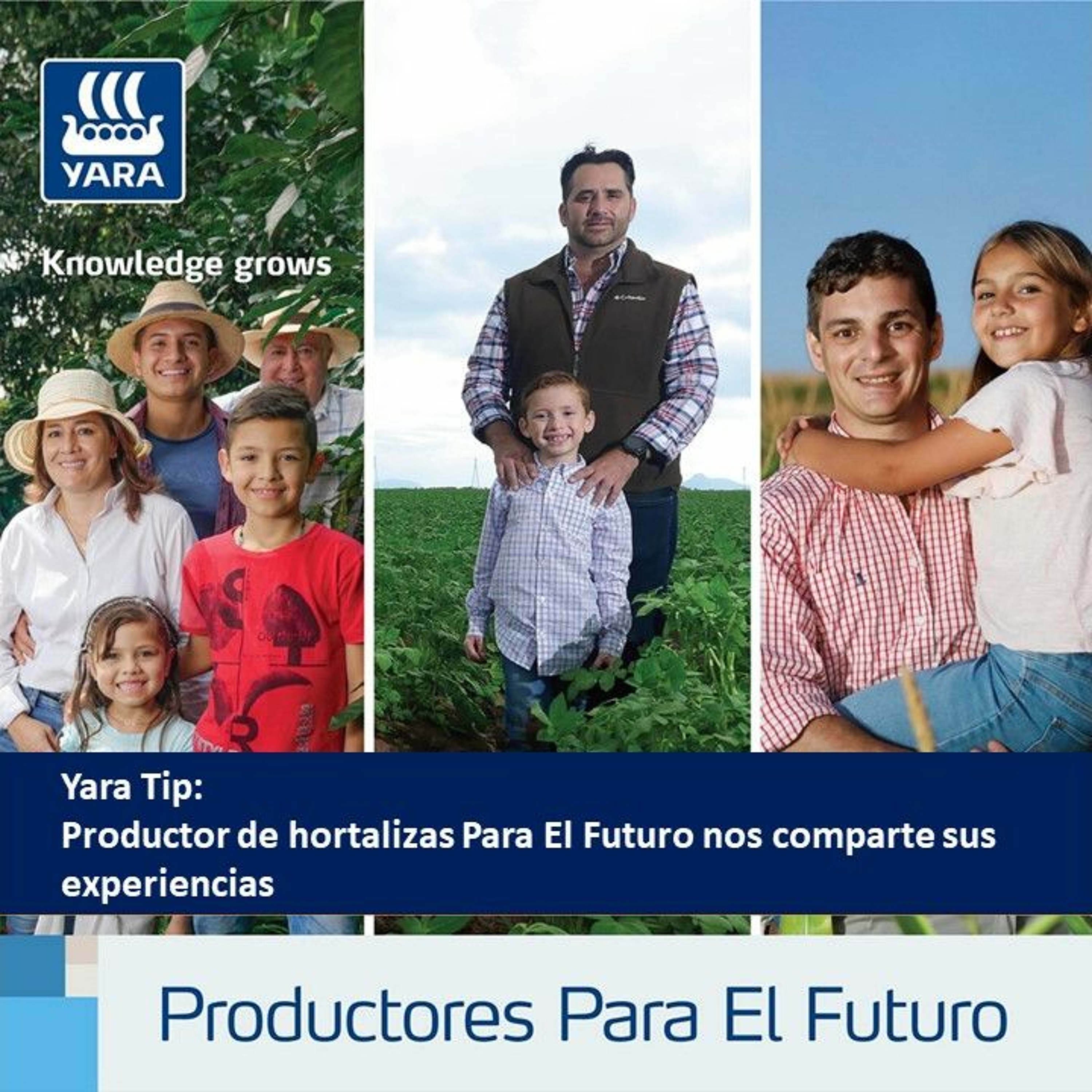 Productores Para El Futuro