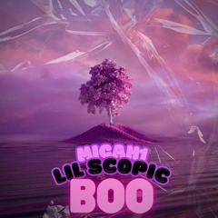 Boo ft. Lil Scopic (prod. Better Tracks x alexbrazy)