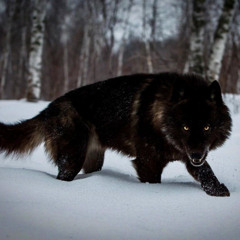 URAZ did by accident