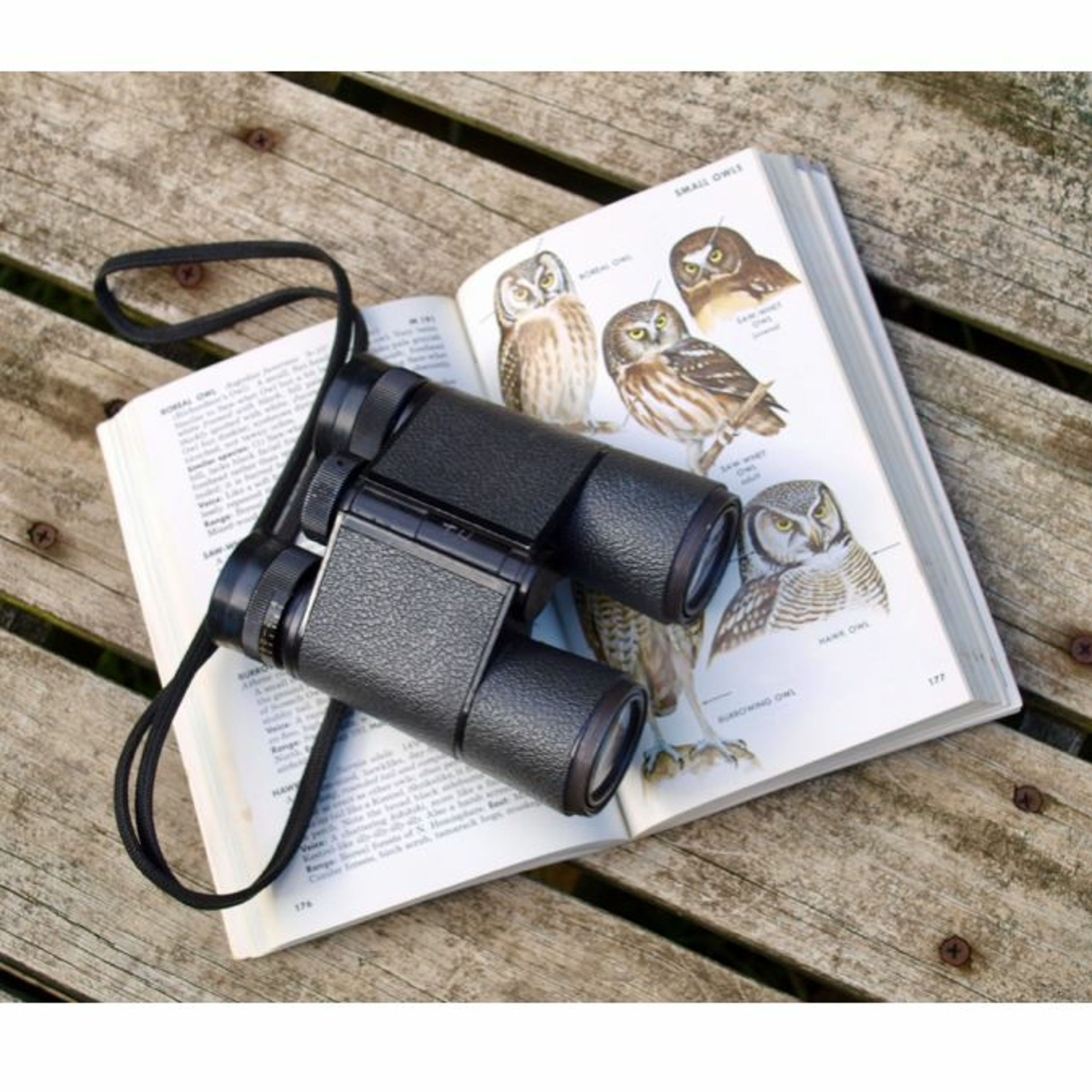 The 2023 Christmas Bird Count