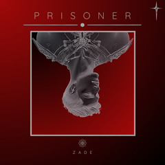 prisoner (demo)