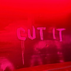 𝖈𝖚𝖙 𝖎𝖙 𝖔𝖋𝖋 (Prod. SA.cro)