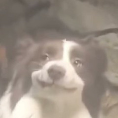 beleszívtam kicsiket