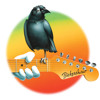 Turn on Your Lovelight (Live at Bickershaw Festival, Wigan, England 5/7/1972) [feat. Merle Saunders]