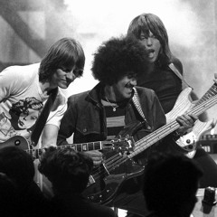 You Can't Make a Flower Grow (down 'n dirty mix)