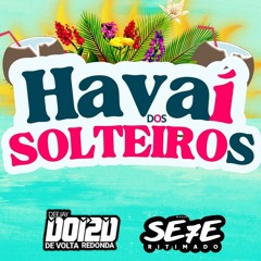 SEQUENCIA HAVAÍ DOS SOLTEIROS PART 1 (DJ 2D DE VOLTA REDONDA + DJ SETE RITIMADO)