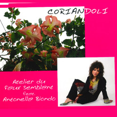 Questa è una canzone d'amore (feat. Antonella Biondo)