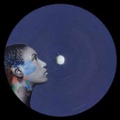 PREMIERE: Unknown Artist - Birds (Dzanin Edit)