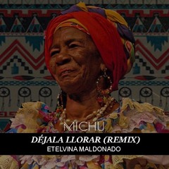 Déjala Llorar (Michu Remix) - Etelvina Maldonado