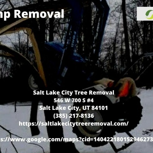 Stump Removal - Salt Lake City Tree Removal