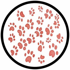 PWASA x Michael Buble - Groovy Kind Of Girl (Pablo Denuit Mashup)