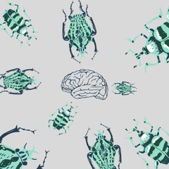 The Beetle - first demo