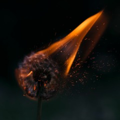 Doomed (From the Start)