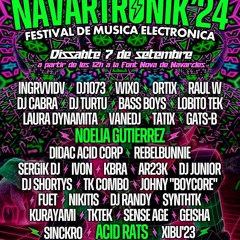 Sinckro @ Navartronik 2024