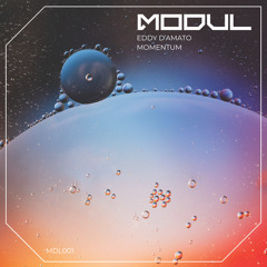 Momentum