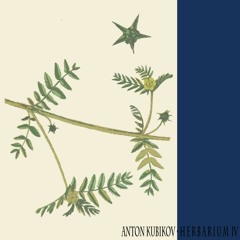 Anton Kubikov • Herbarium IV - Preview
