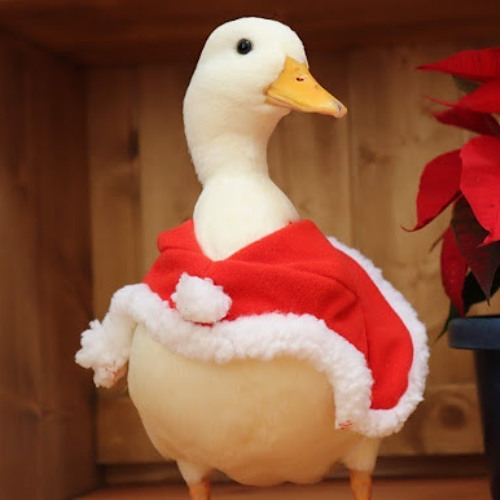 Festtagsente mit Punsch - Trance + Techno