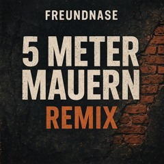 5 Meter Mauern/FreundnaseRMX