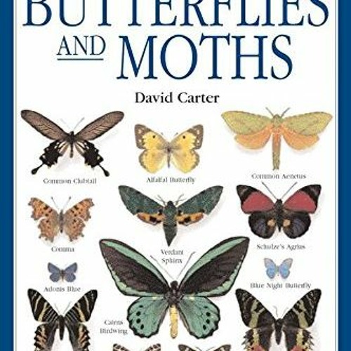Stream DOWNLOAD PDF Butterflies & Moths The Clearest Recognition Guide