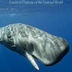 Read pdf Melville's Mistake: Essays in Defense of the Natural World (Gideon Lincecum Nature and Envi