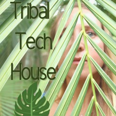 Tribal Tech House/Latin Vibes 🌿