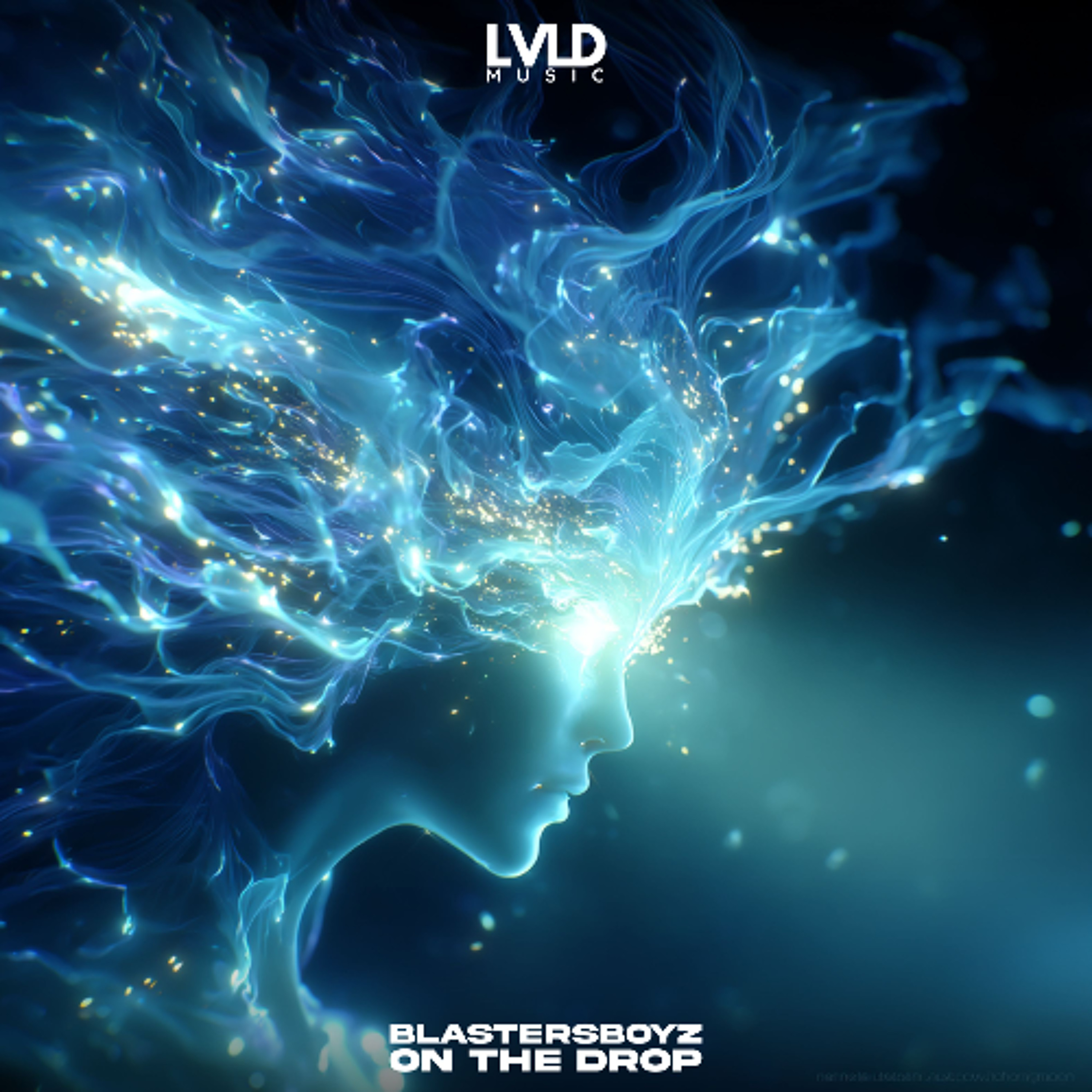 Track cover