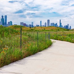 M4C Week 4: Mindfulness in Nature