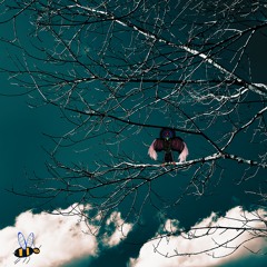 Birds & Bees