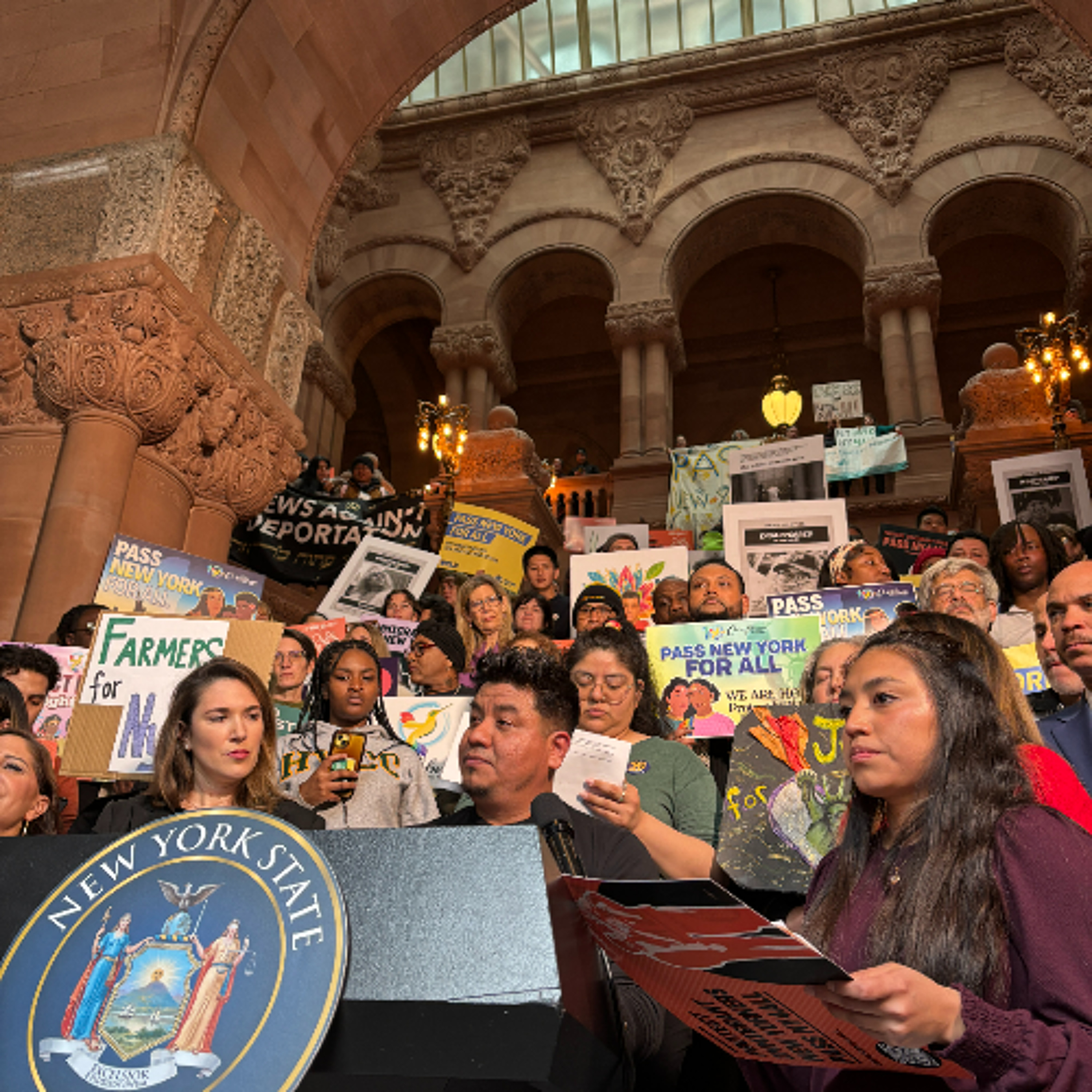 Feb. 25 Rally for NY For All episode artwork