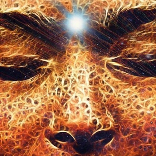 Frequency