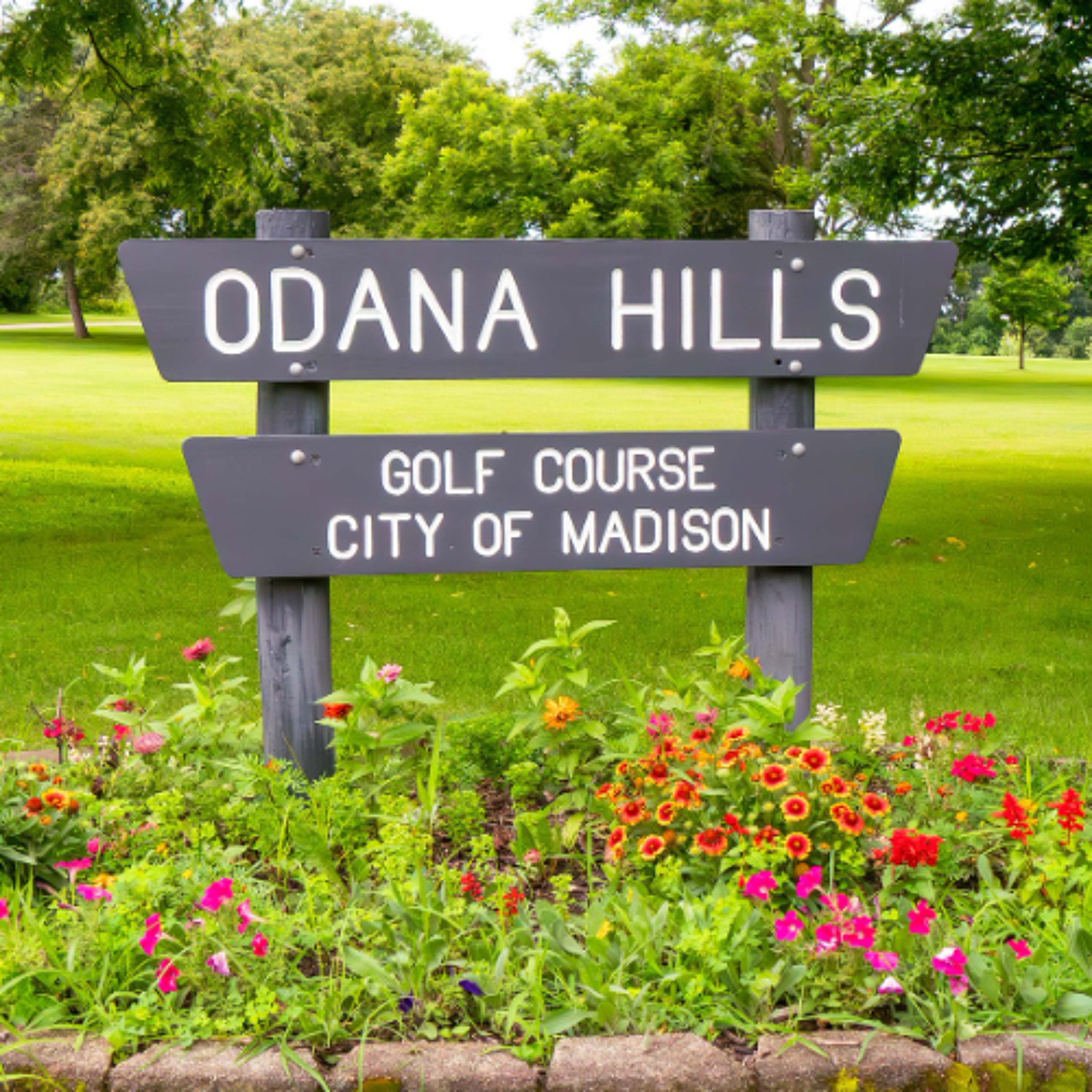 Madison seeks feedback on Odana Hills Golf Course redesign