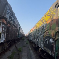 KOALA SESION 9 #SOLO TEMAZOS