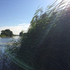 the professors are in the garden