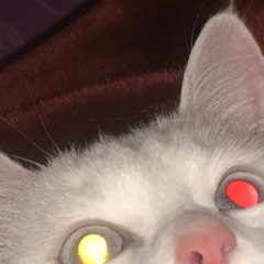 2FACED