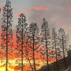 Attack Of The Clones