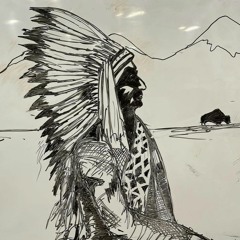 Wild World Cat Stevens DoomerWave