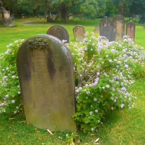 pig (prod. Neverforever)