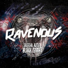 02.  Sascha Audit - Destination (Original Mix) [Ravenous]