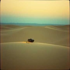 Leading vision(MIX1)