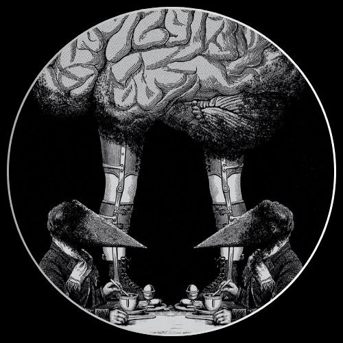 Colin Push - Lies, Deception & Fantasy