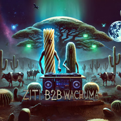 ZiTi B2B Wachuma DJ Set (MoMo Gathering)