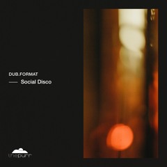 dub.format - Social Disco (Original Mix)